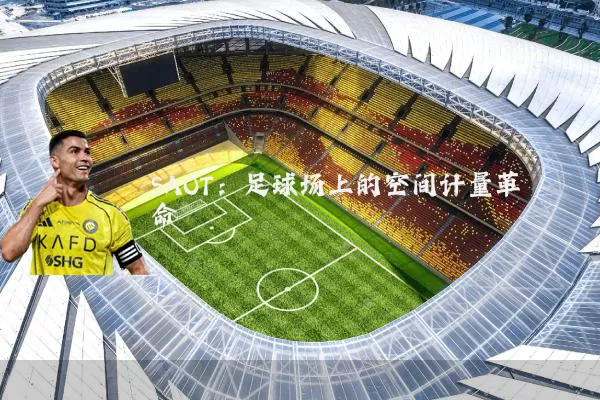 SAOT:足球场上的空间计量革命