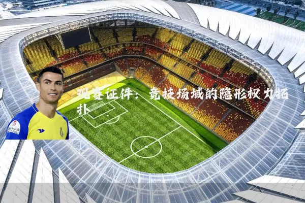 观赛证件:竞技场域的隐形权力拓扑